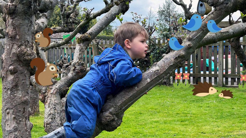 How To Set Up A Forest School