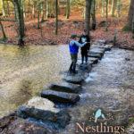 Stepping stones